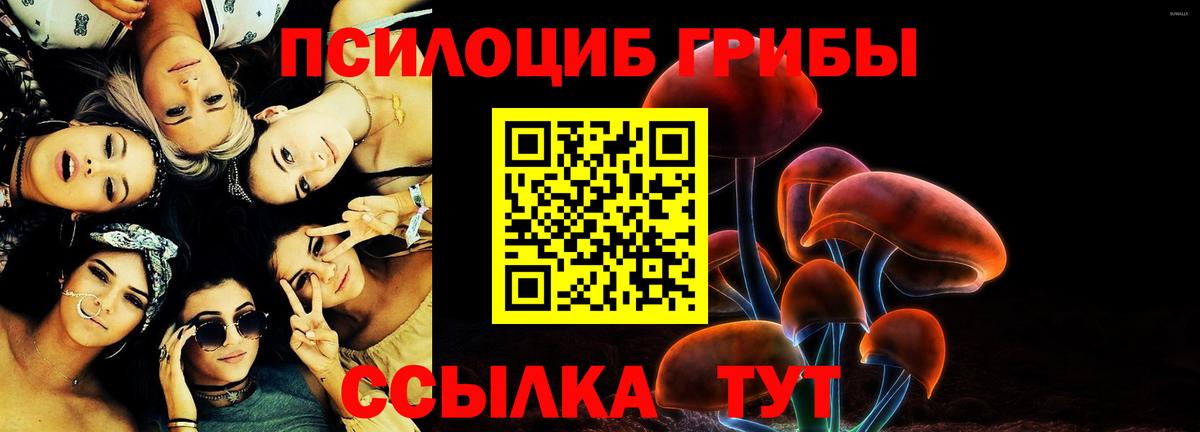 Псилоцибиновые грибы Psilocybine cubensis  Псилоцибиновые грибы Cubensis  Абинск  Вход с VPN 
